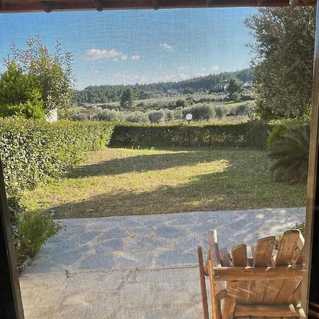 Villa Pino Pueblo Paliouri Exteriér fotografie